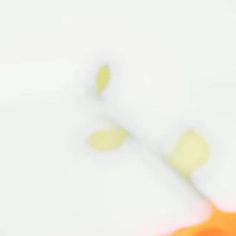 blurry photograph of an orange and yellow flower on a white surface with light coming from it