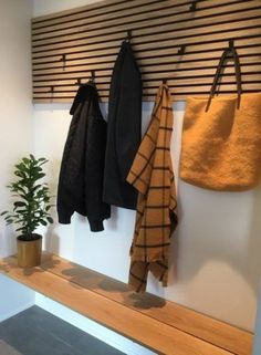 three coats hanging on the wall next to a potted plant and coat rack with hooks