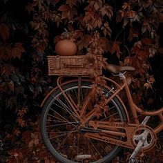 an old bicycle is parked in front of some leaves