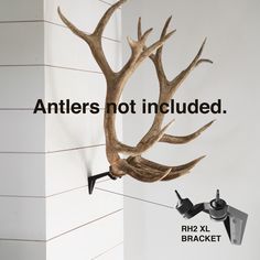 an antler is mounted to the side of a white wall with text that reads, antlers not included