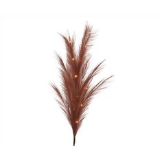 some brown feathers with lights in the middle on a white background for halloween decorating