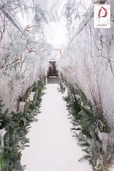 a white walkway with trees and bushes on both sides, surrounded by frosted branches