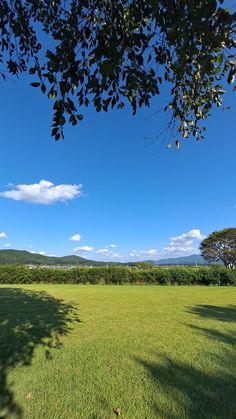 an open field with trees and mountains in the distance under a blue sky on a sunny day