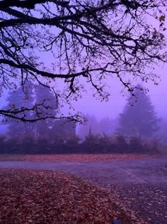 a park bench under a tree with leaves on the ground and fog in the background