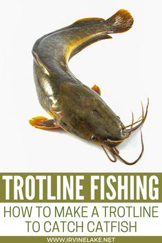 an image of a fish with the words trolling how to make a trolline catch