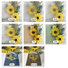 six pictures of sunflowers in front of a window