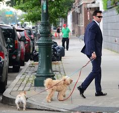 a man in a suit walking two dogs on a leash down the sidewalk next to a lamp post