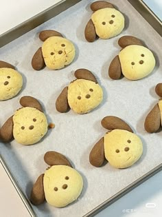 twelve cookies shaped like dogs on a baking sheet