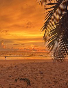 two people are walking on the beach as the sun goes down in the distance,