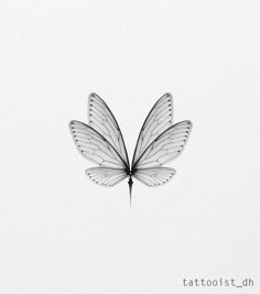 a black and white photo of a butterfly