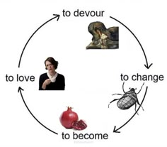 a woman is shown in the middle of a circle with pictures and words on it