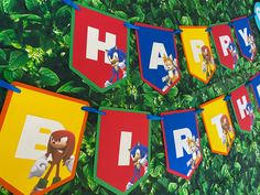 sonic the hedgehog birthday party banner