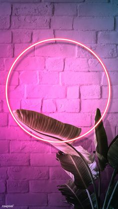 a pink neon light ring on a brick wall next to a potted palm plant