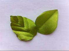 two green leaves on a white surface