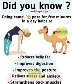 a poster with an image of a camel and a woman doing yoga exercises for the body