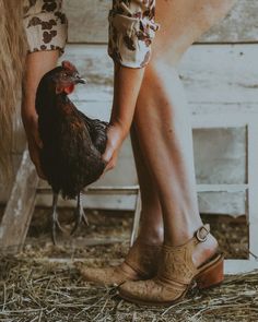 two people holding chickens in their hands on the ground with hay and straw around them