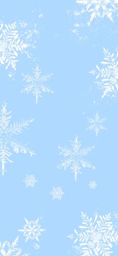 a blue and white background with snow flakes