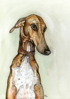 a drawing of a brown dog with white spots on it's face and collar