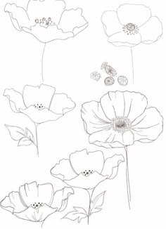 three flowers are shown in black and white, with one flower on the left side