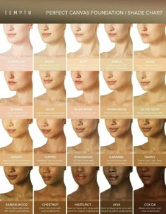 Skin Color Chart, Airbrush Foundation, Foundation Shade, Foundation Makeup, Airbrush Makeup, Tan Skin