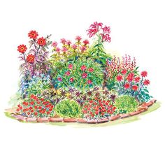 an illustration of a garden with flowers and plants in the foreground, watercolor on paper