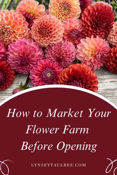 flowers with the words how to market your flower farm before opening on top of it