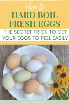 an image of eggs on a plate with the title how to hard boil fresh eggs