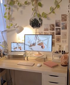 two computer monitors sitting on top of a desk