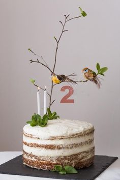 a birthday cake with two candles and birds on top