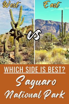 two different images with the words which side is best? saguaro national park