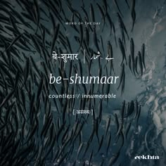 the words be - shumar are written in two languages and surrounded by hundreds of fish