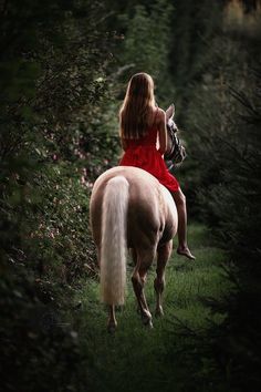 a woman riding on the back of a white horse through a lush green forest filled with trees