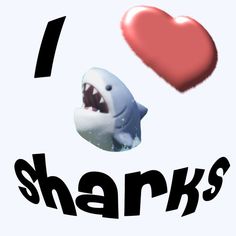 i love sharks with a shark and a heart