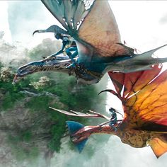 two dragon like creatures flying through the air