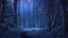 a dark forest with snow on the ground