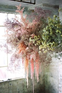 a bunch of flowers hanging from the ceiling in front of a window with sunlight coming through it