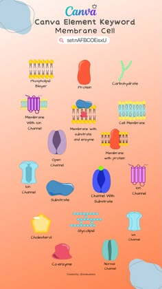 the diagram shows how many different types of cell phones are connected to each other,