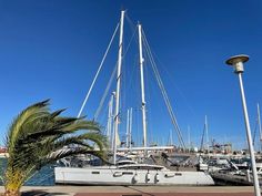 a sailboat docked at a marina with palm tree in foreground