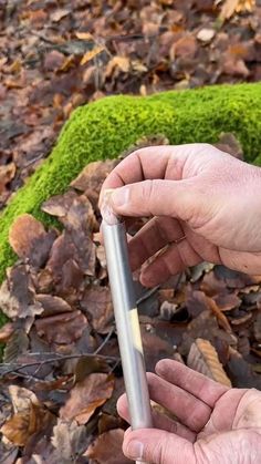 two hands holding an electronic device in front of a moss covered area with leaves on the ground