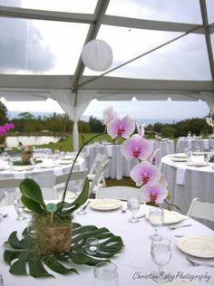 the table is set with white linens, plates and vases filled with pink orchids