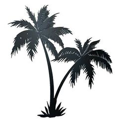 the silhouette of a palm tree on a white background