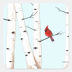 a red bird sitting on top of a tree branch next to some white birch trees