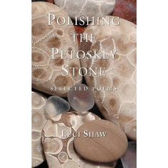 a book with an image of shells and other things on it's front cover