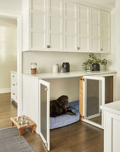 a black dog laying on top of a blue bed in a kitchen under cupboards