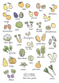 the different types of fruits and vegetables are shown in this hand - drawn illustration, which includes