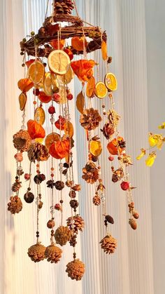 a chandelier made out of fruit and nuts hanging from the ceiling in front of a window