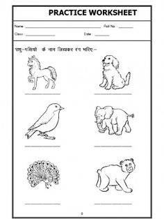 worksheet with pictures of animals and birds