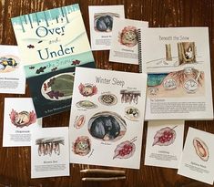 several children's books about under the sea on a wooden table with pencils