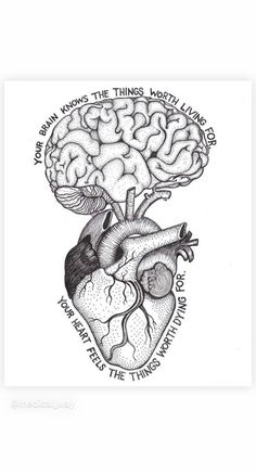 an instagram page with a drawing of a human heart and the words instagram on it