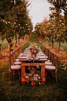 an outdoor dinner table set up in the middle of an apple orchard with string lights strung overhead